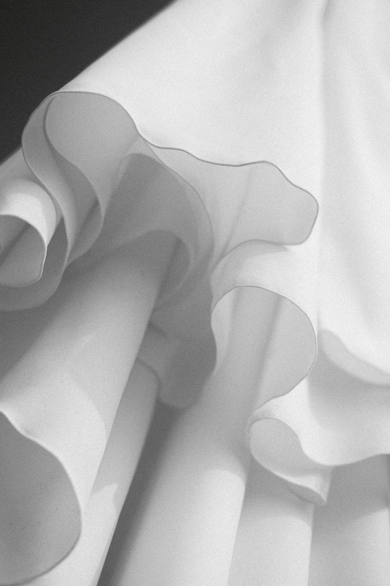 Wedding photographer