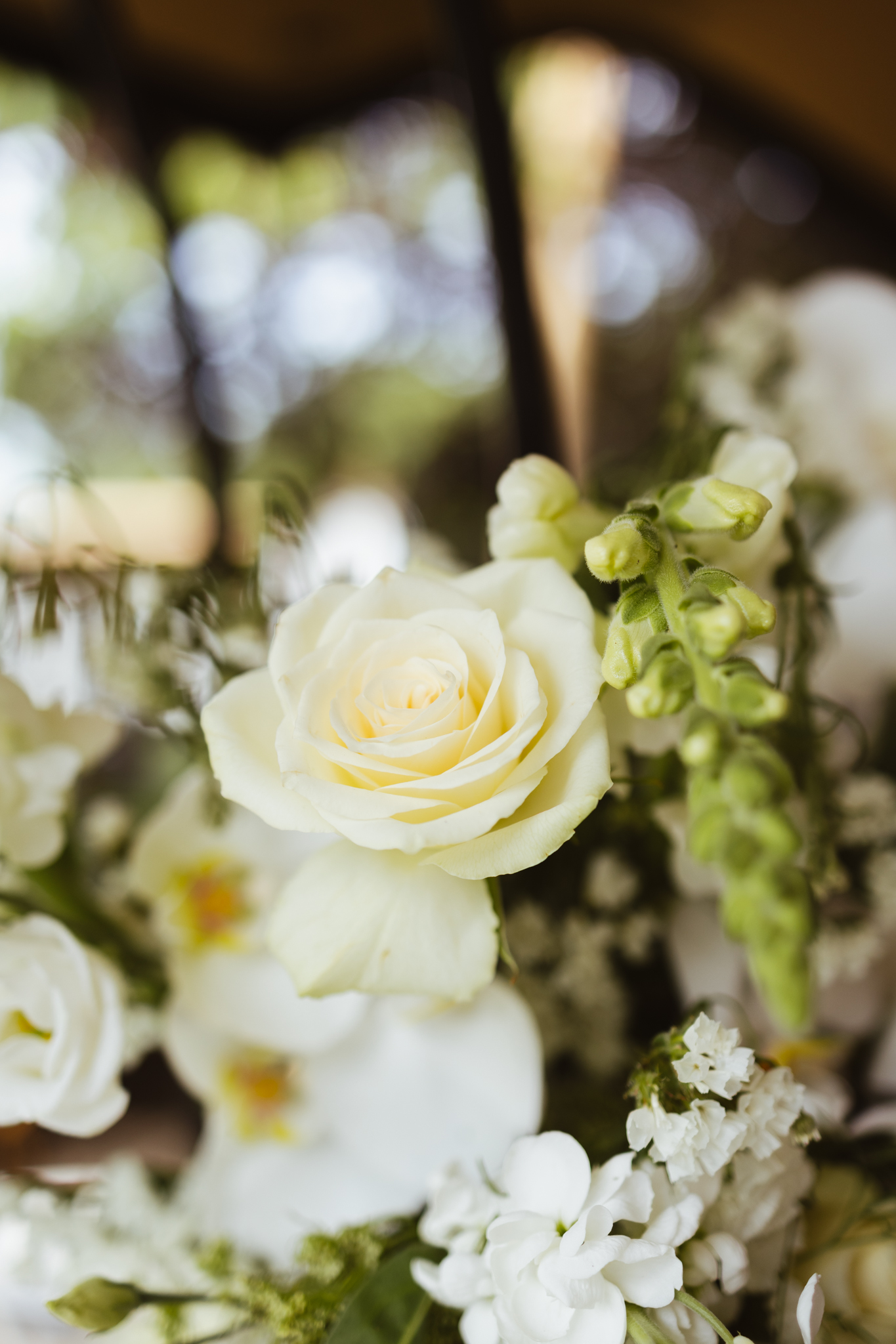 Bruiloft fotograaf Groningen